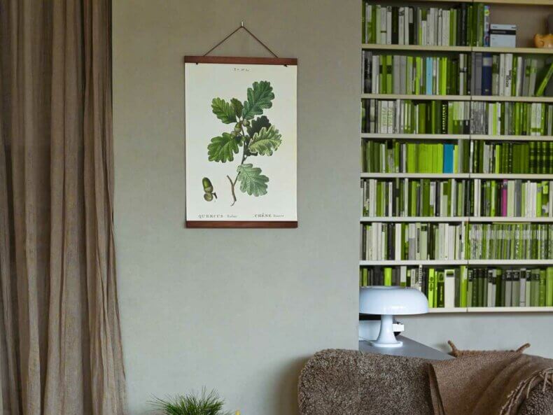 Acorn, Poster 35x50 cm – Bild 2