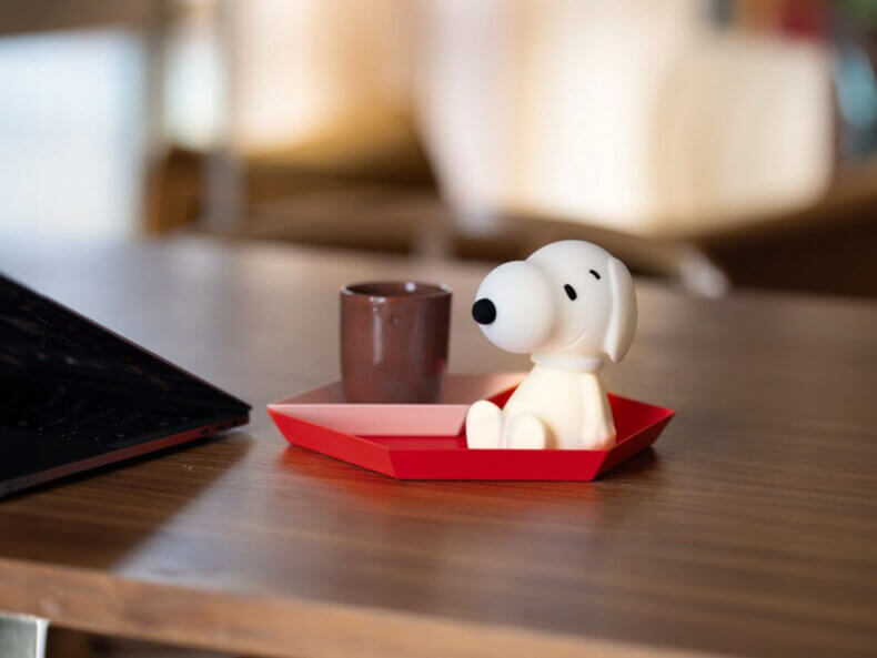 Bundle-of-Light-Snoopy-Mr-Maria-filipok