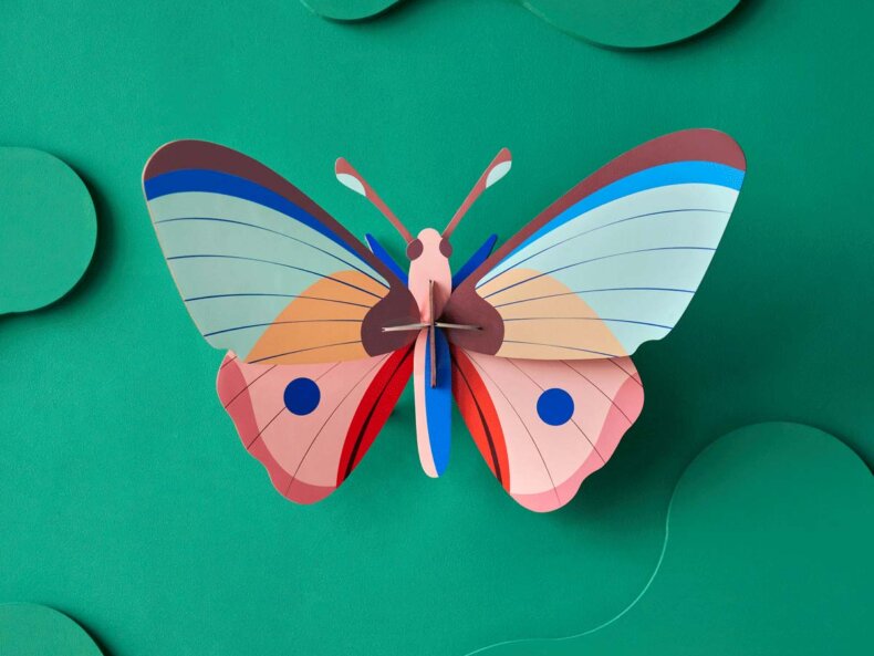 Cattleheart Butterfly