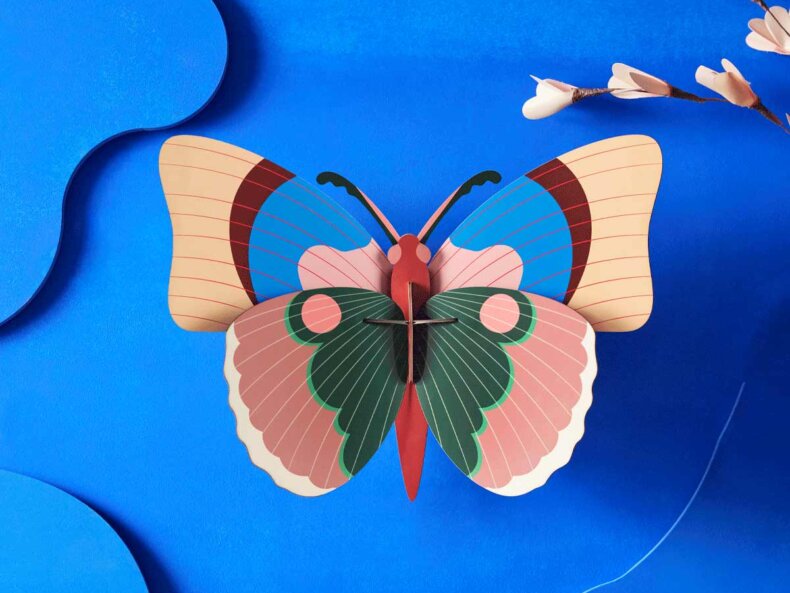 Cepora Butterfly