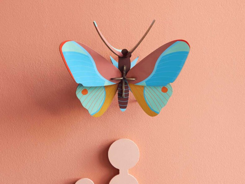 Claudina-Butterfly