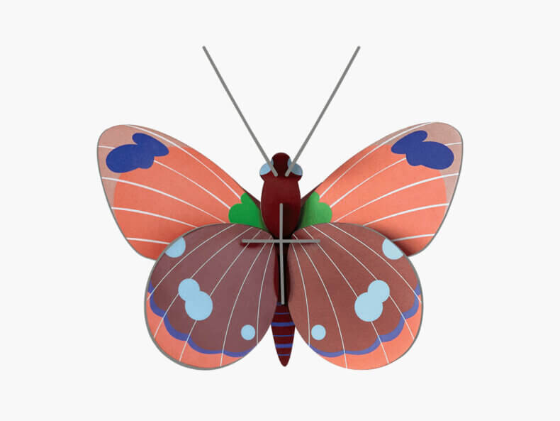 Delias Butterfly – Bild 2