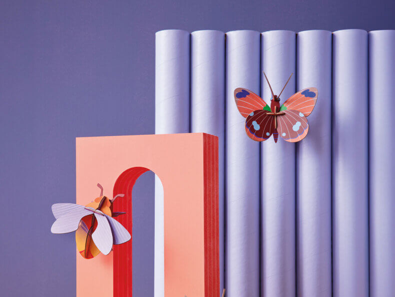 Delias Butterfly – Bild 3