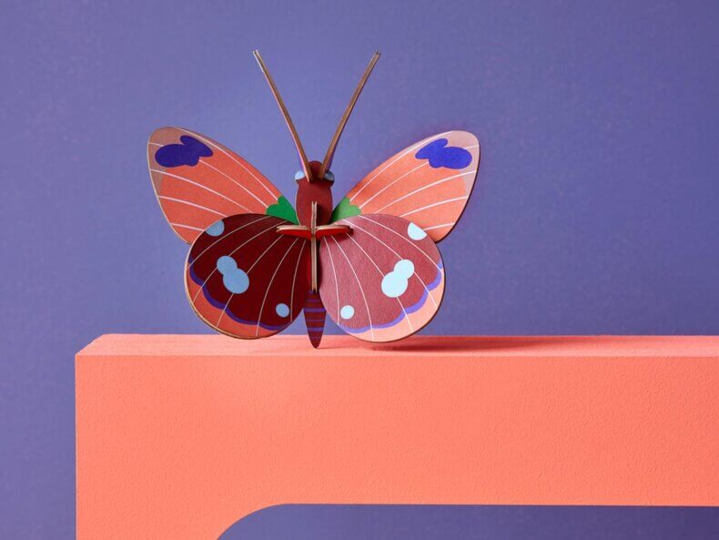 Delias Butterfly