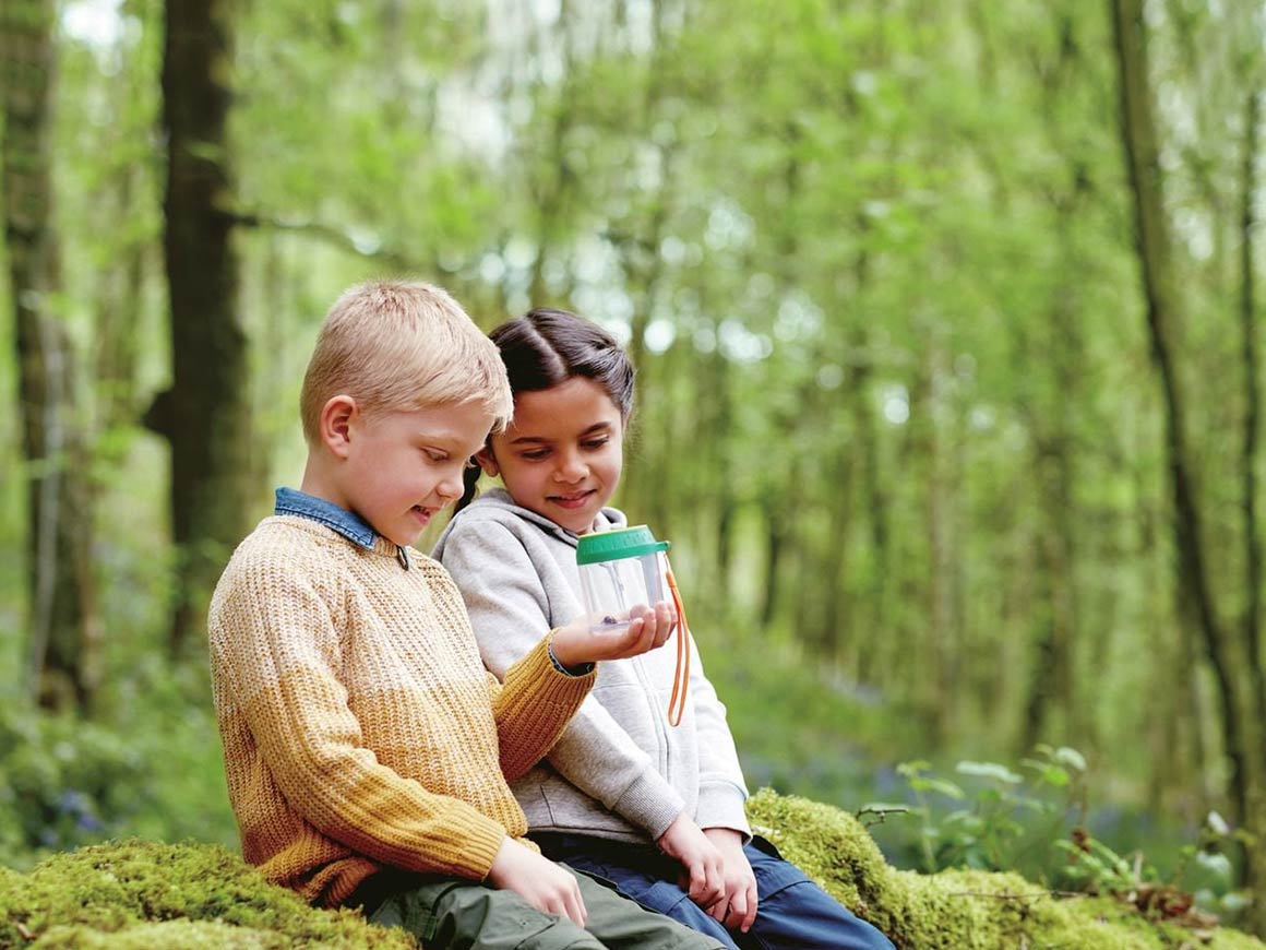 Entdecker-Käferglas – Bild 2