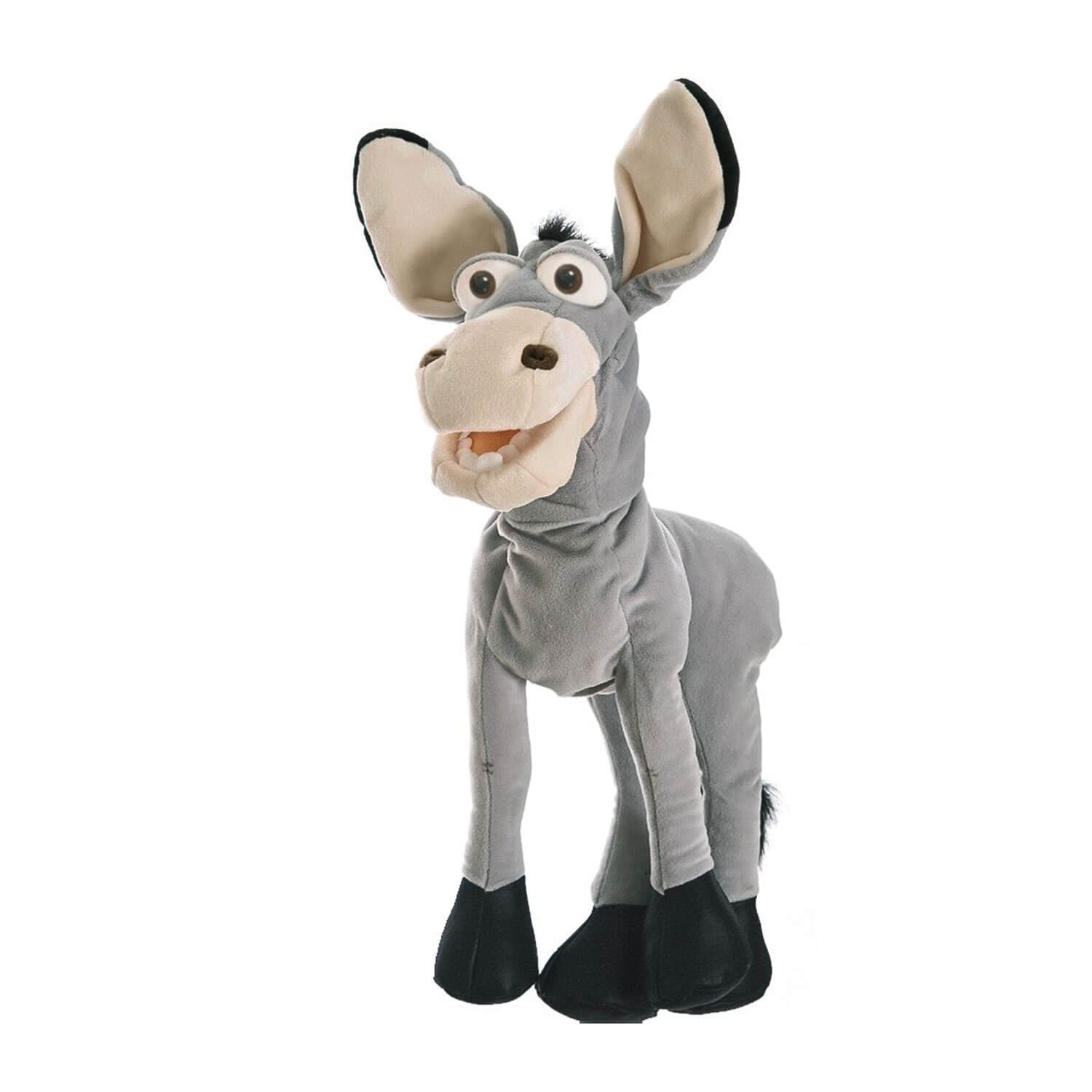 Fridulin der Esel – Bild 3