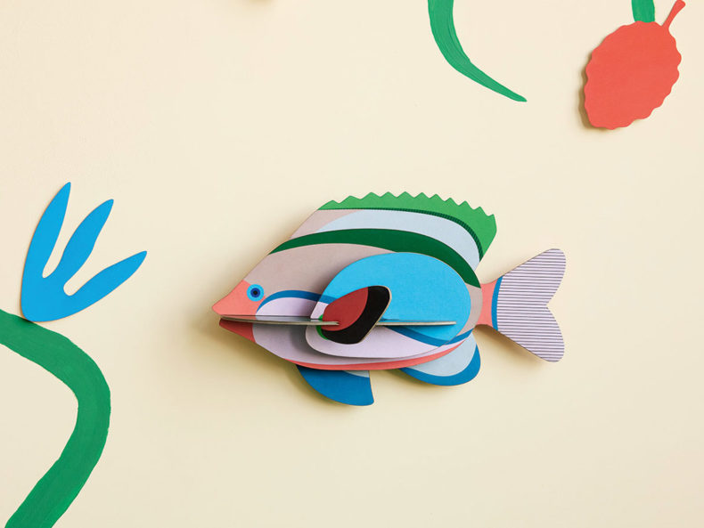 Fairy-Wrasse-studio-roof-filipok