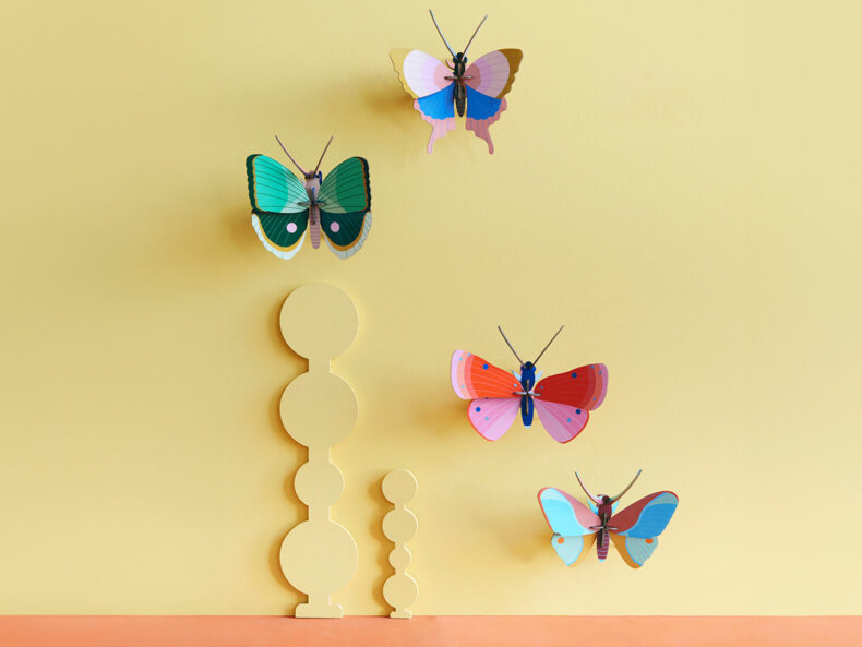 Fern-striped-Butterfly-studio-roof