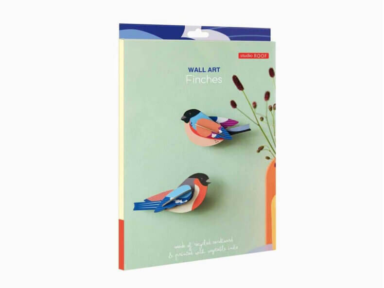 Finches – Bild 4