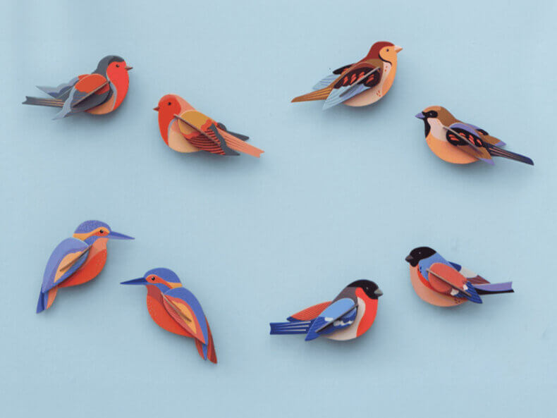 Finches – Bild 5