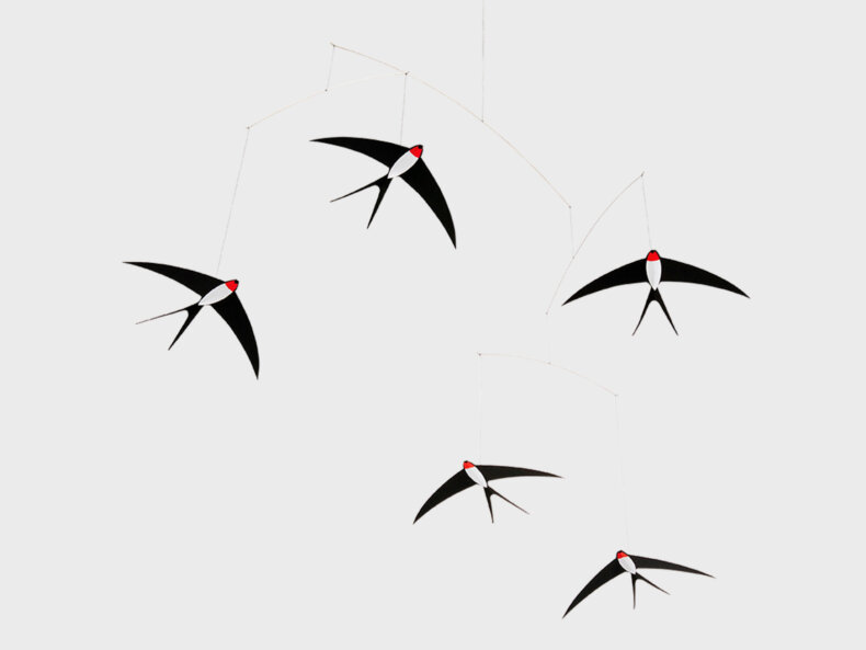 Flensted-Fliegende-Schwalben-5