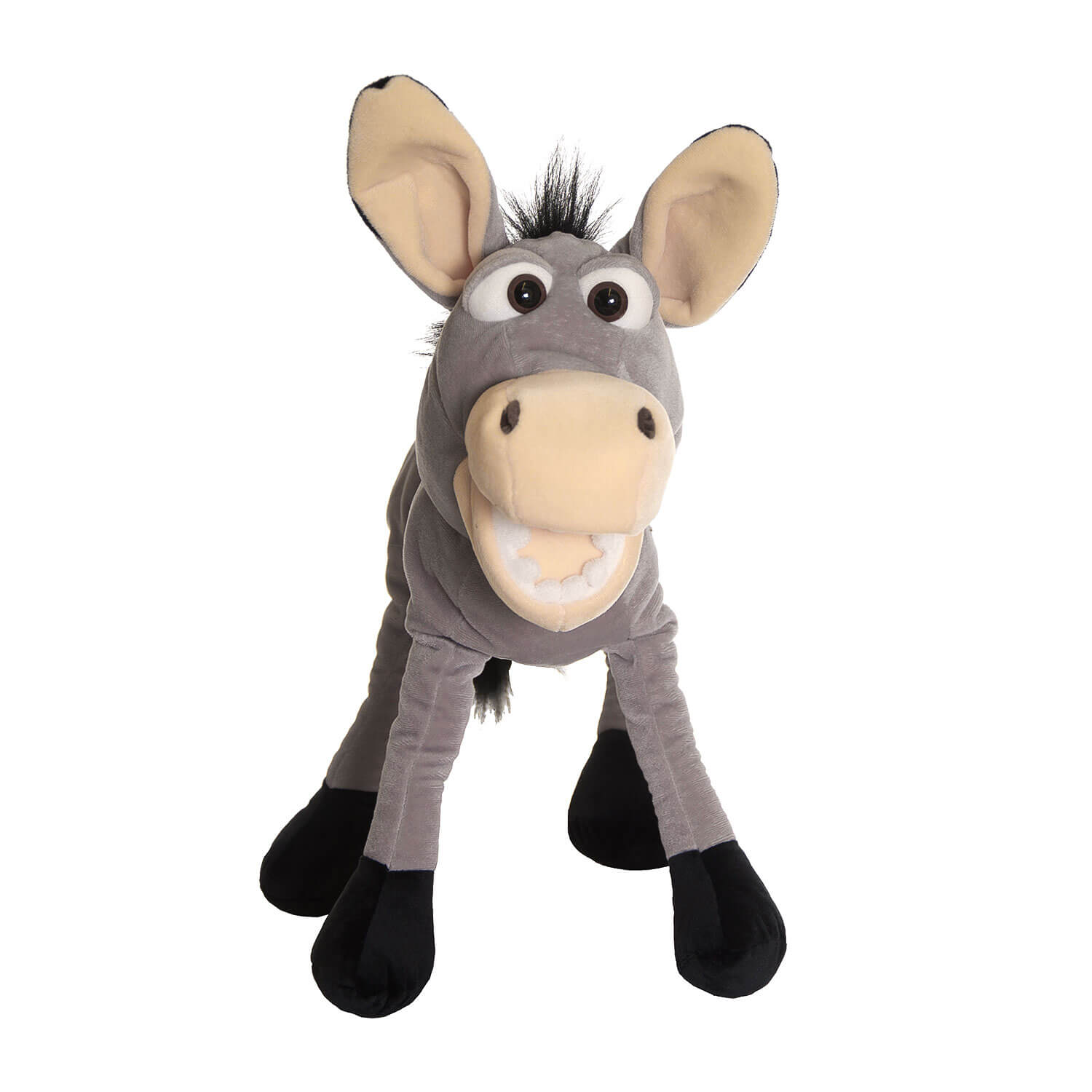 Fridulin der Esel – Bild 2