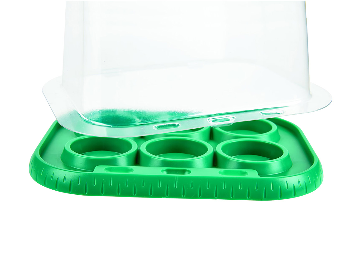 Gewächshaus – Bild 2