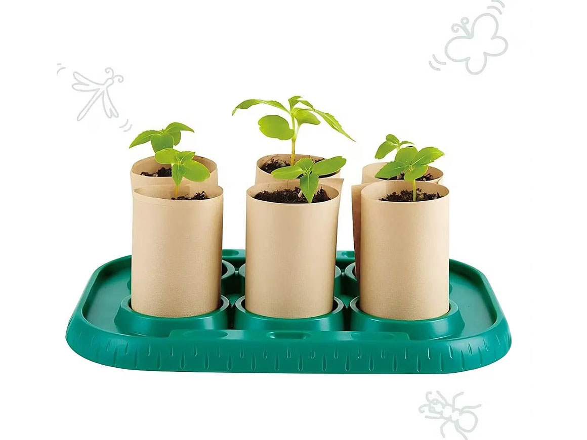 Gewächshaus – Bild 6