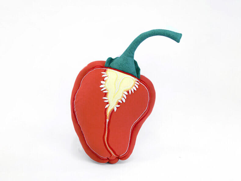 Habanero-Chili-Kissen-Aufschnitt-orange-kaufen