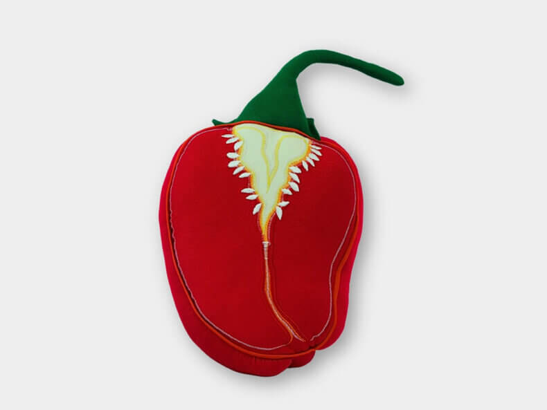 Habanero-Chili-Kissen-rot-Aufschnitt-Berlin-kaufen