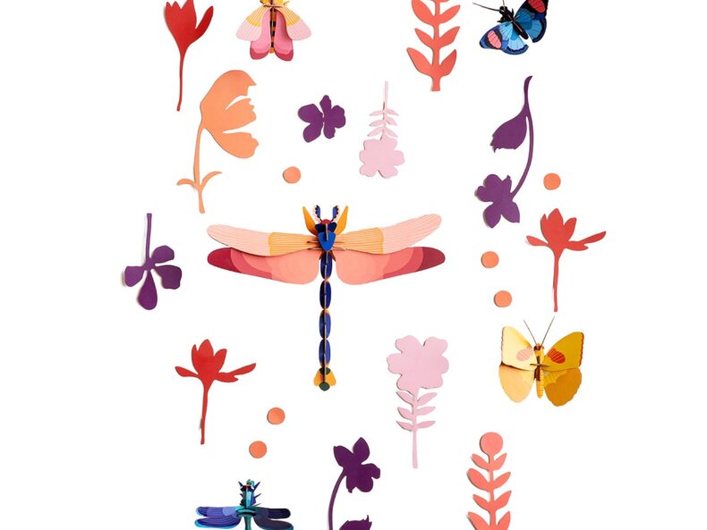 Insect Connoisseur