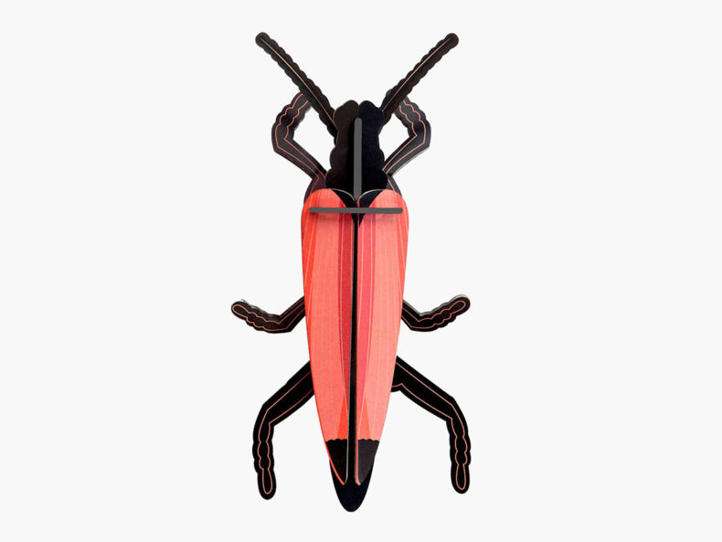 Longhorn-Beetle-Bockkäfer-studio-roof