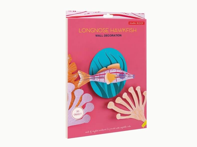 Longnose-Hawkfish-studio-roof-kaufen