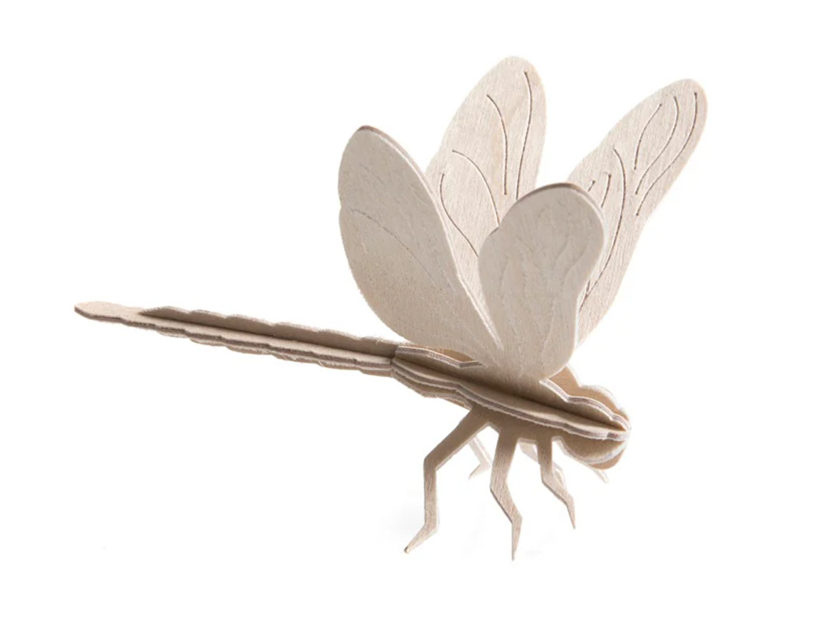 Lovi DRAGONFLY, natur