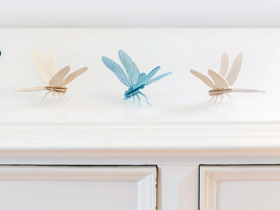 Lovi DRAGONFLY, natur – Bild 2