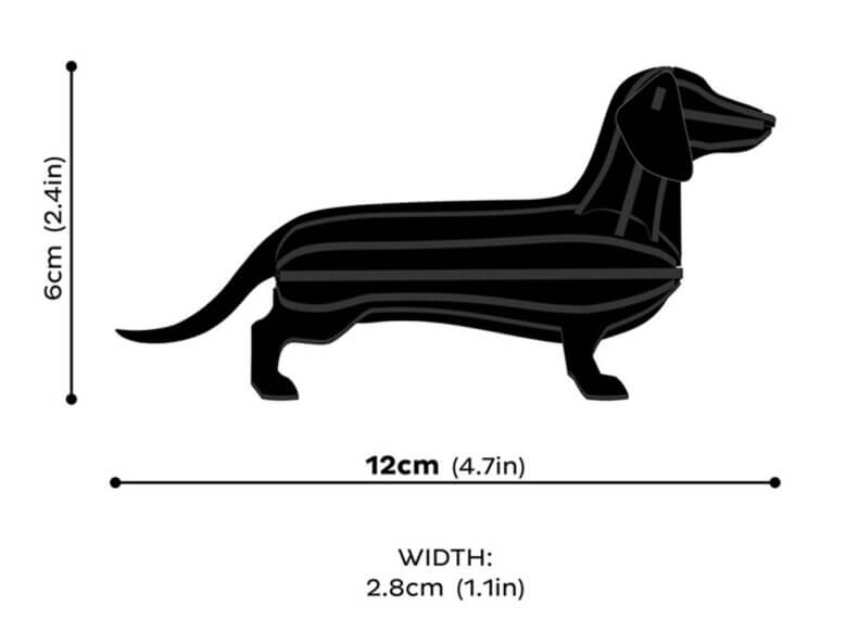 Lovi-Dachshund-brown-dimensions