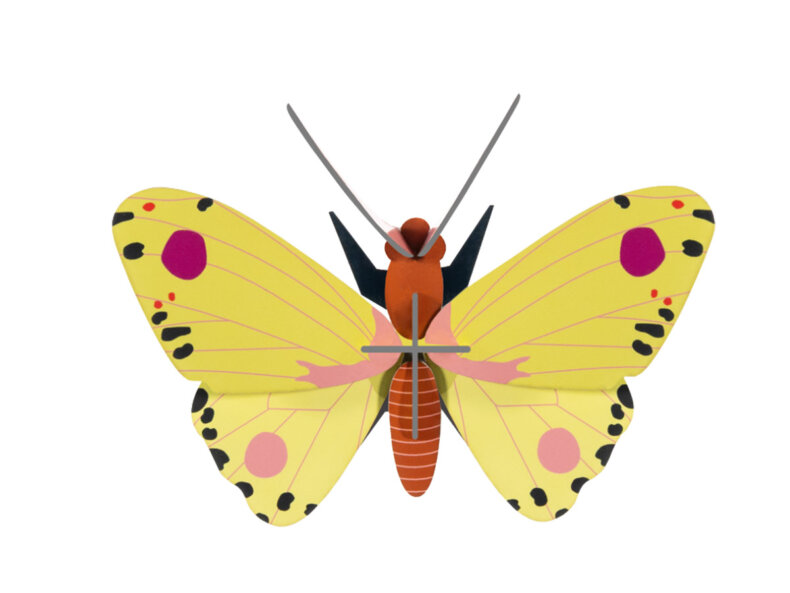 Luzerne Butterfly