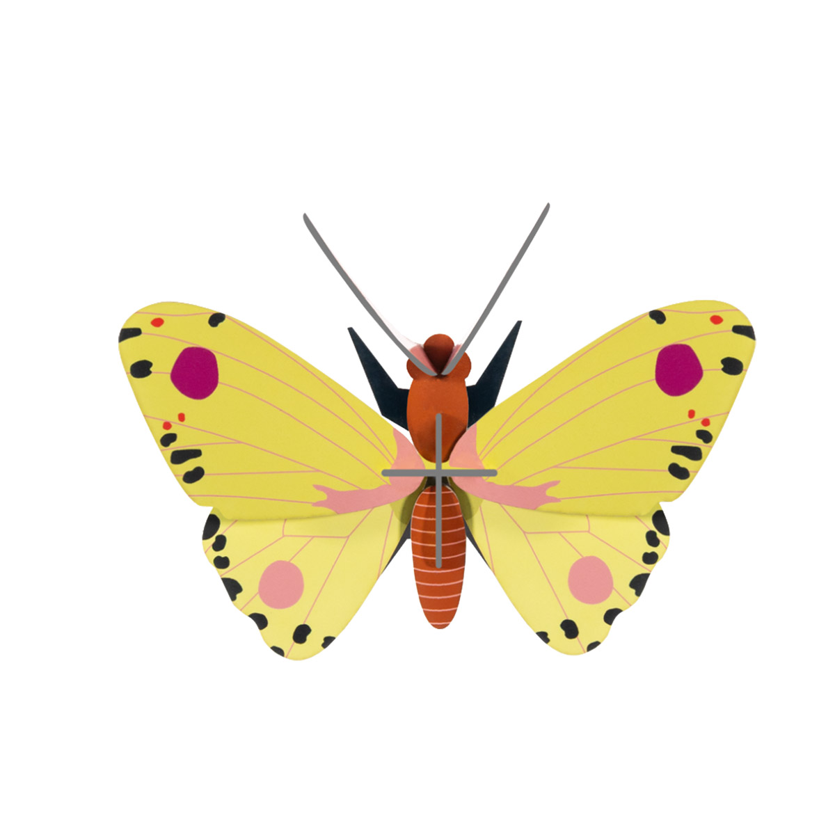 Luzerne Butterfly