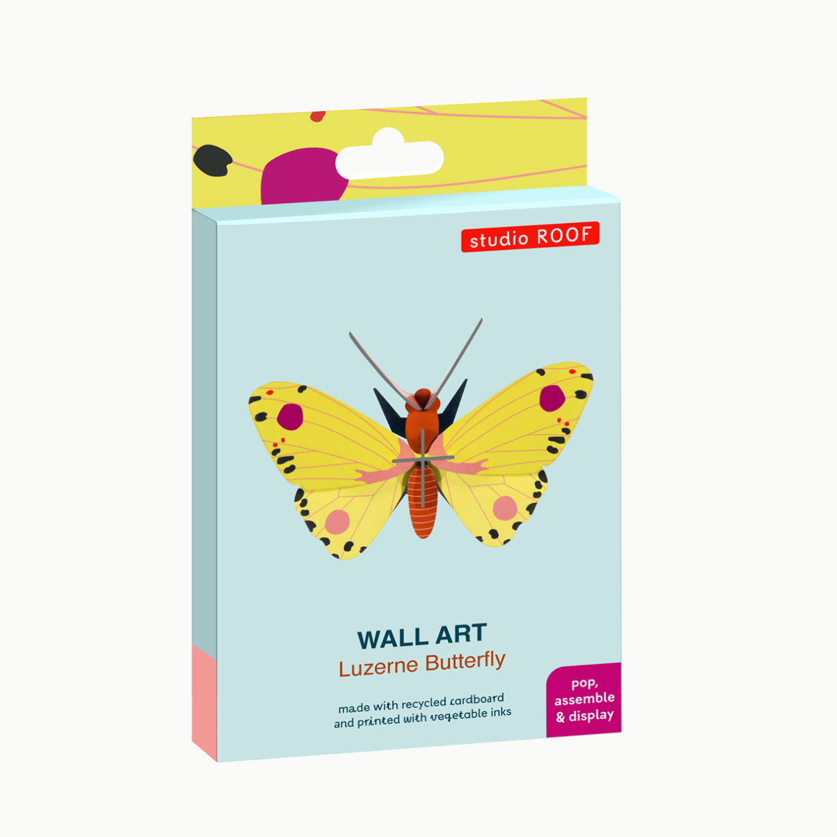 Luzerne Butterfly – Bild 2