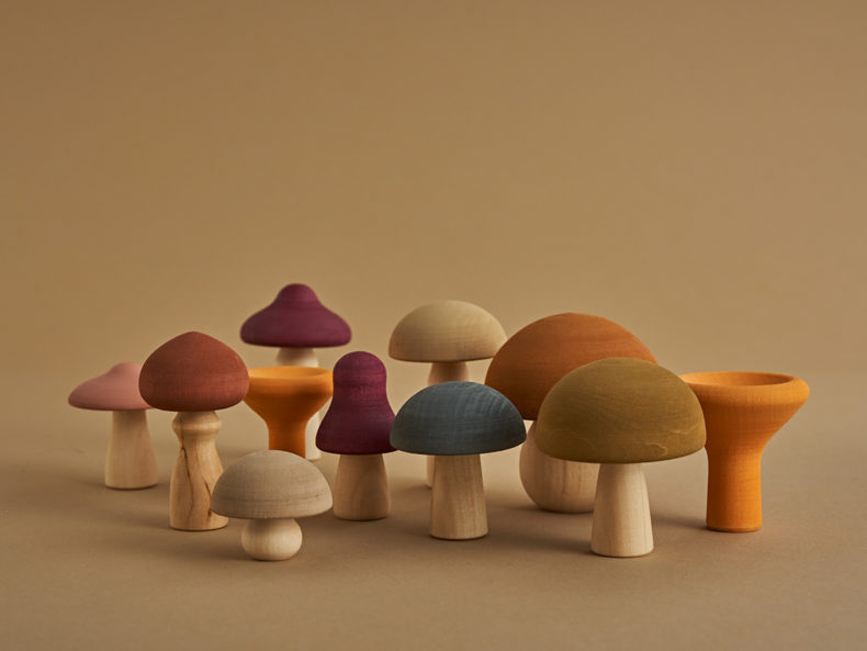 Raduga Grez Mushrooms Set