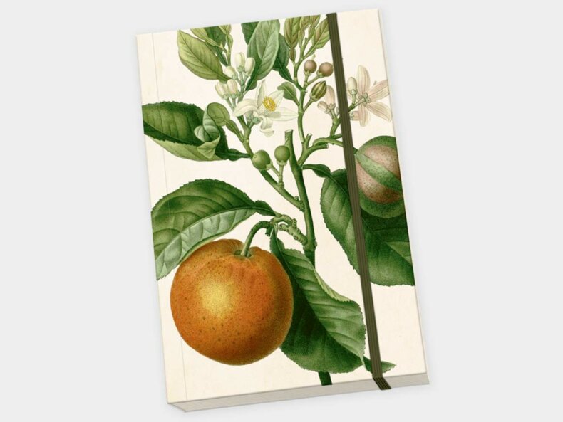 Notizbuch-Orange-A5-Sköna-Ting