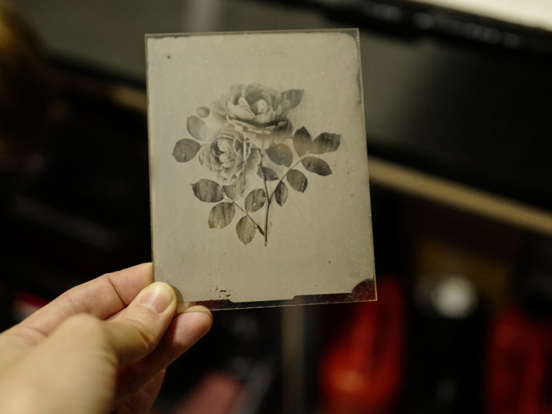 OVO Things Roald Dahl Rose - Silverprint – Bild 7