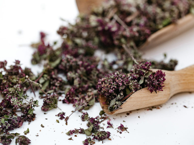Oregano-flower-tea-PLUKT
