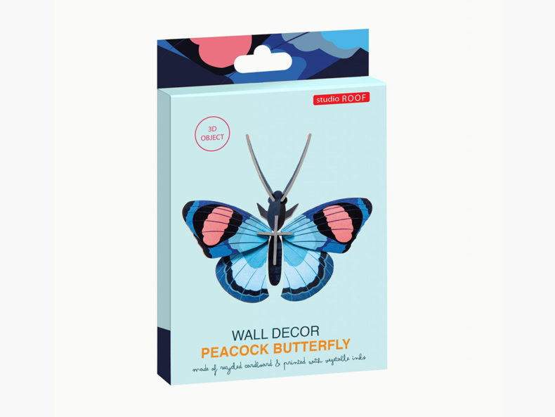 Peacock-Butterfly-DIY-studio-roof