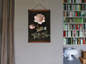 Peony, Poster 35x50 cm