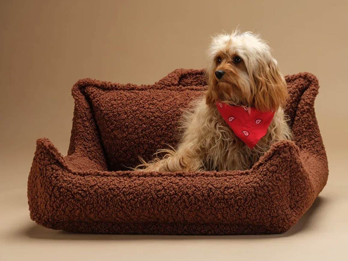 Pet Club Chair M, Warm Hazel – Hundesessel