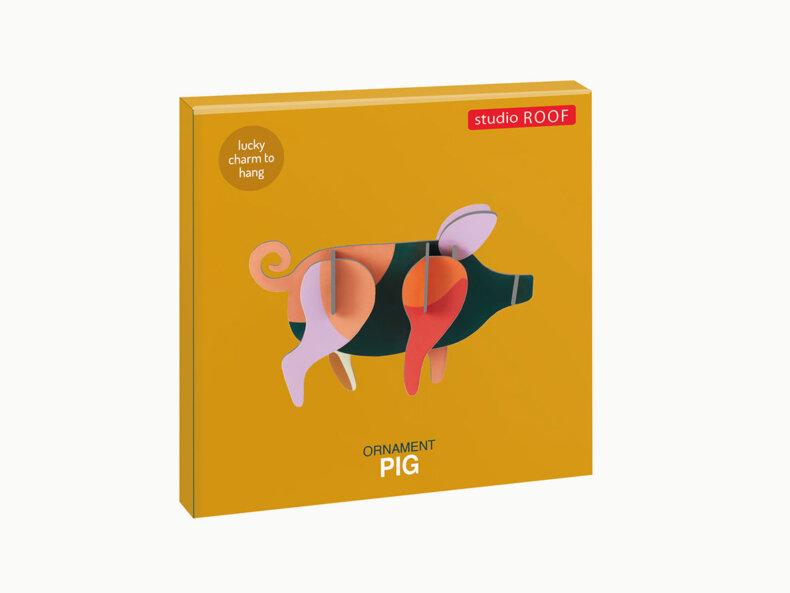 Pig-3D-hanger-studio-roof