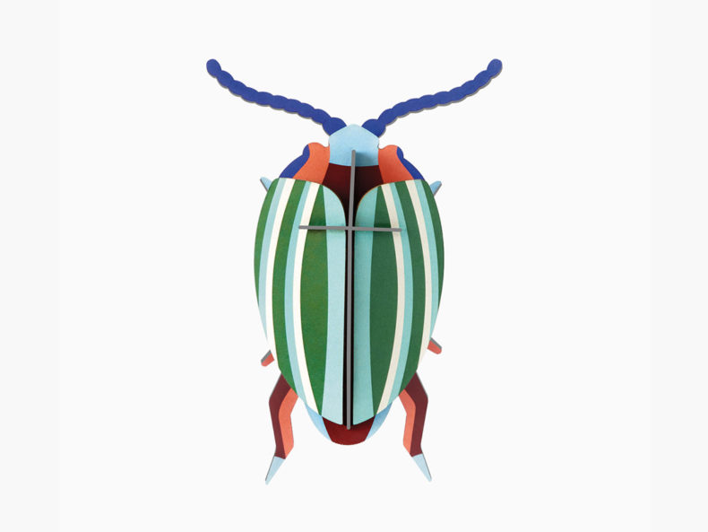 Rainbow-Leaf-Beetle-studioroof