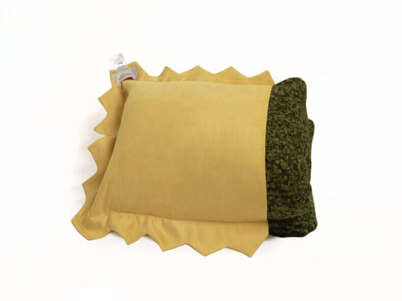 Ravioli-mit-Decke-Spinat-kaufen