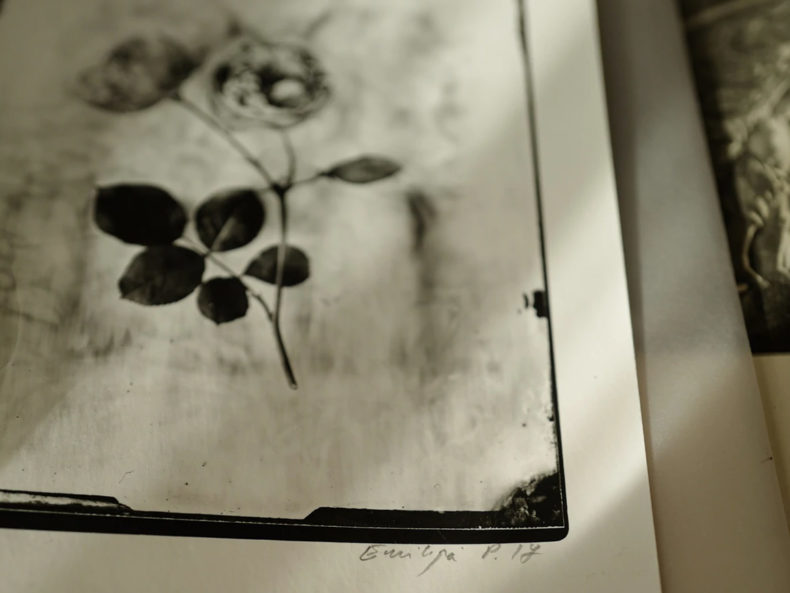 OVO Things Roald Dahl Rose - Silverprint – Bild 2