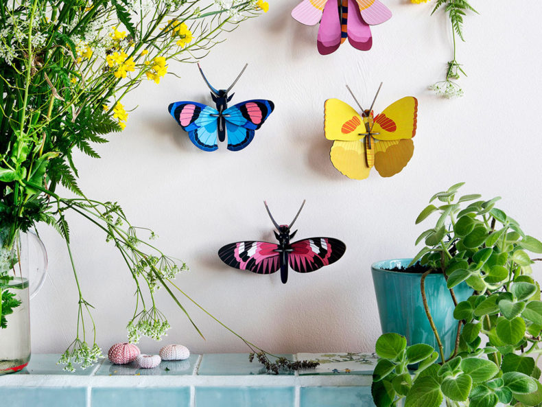 Schmetterlinge studio roof berlin