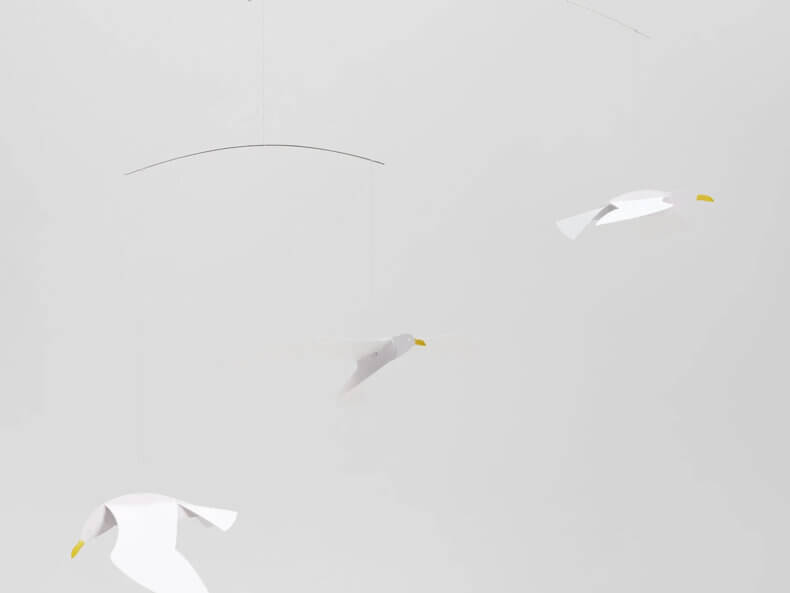 Soaring Seagulls