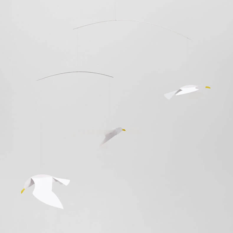 Soaring Seagulls