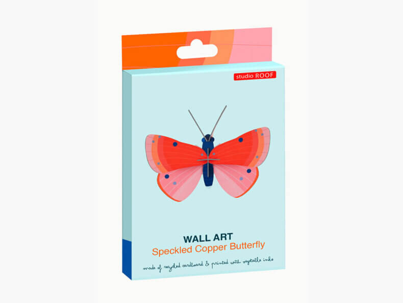 Speckled Copper Butterfly – Bild 4