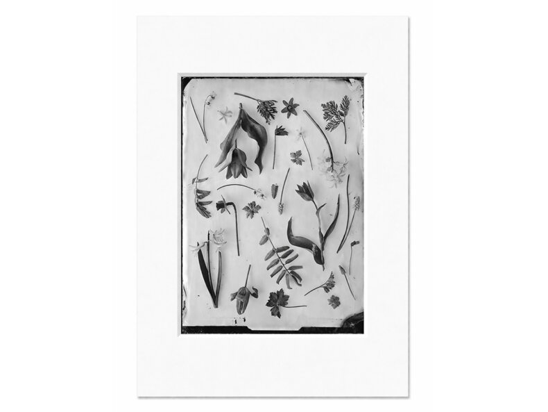 OVO Things Spring Garden April - Silverprint