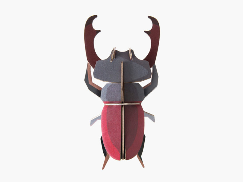 Stag Beetle Hirschkäfer
