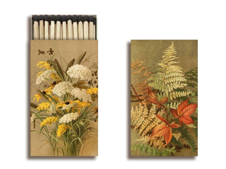 Zündhölzer Autumn plants