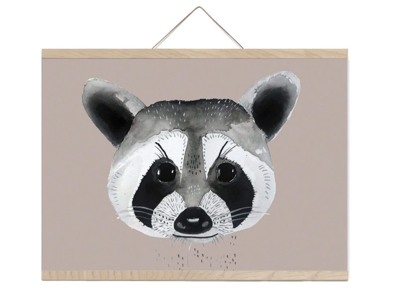 Waschbär-Poster-NUUKK