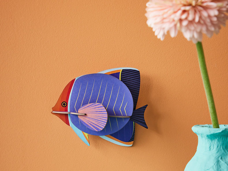 butterflyfish-studioroof-kaufen