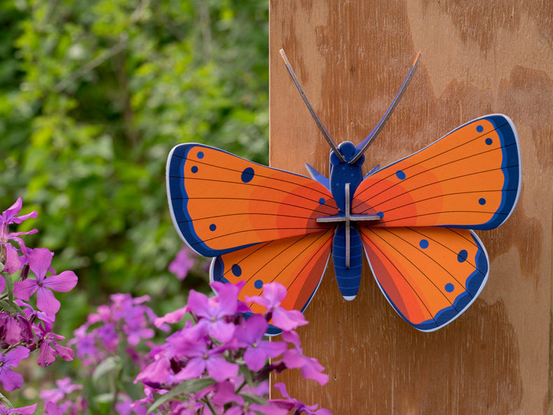 copper-butterfly-studio-roof-schmetterling